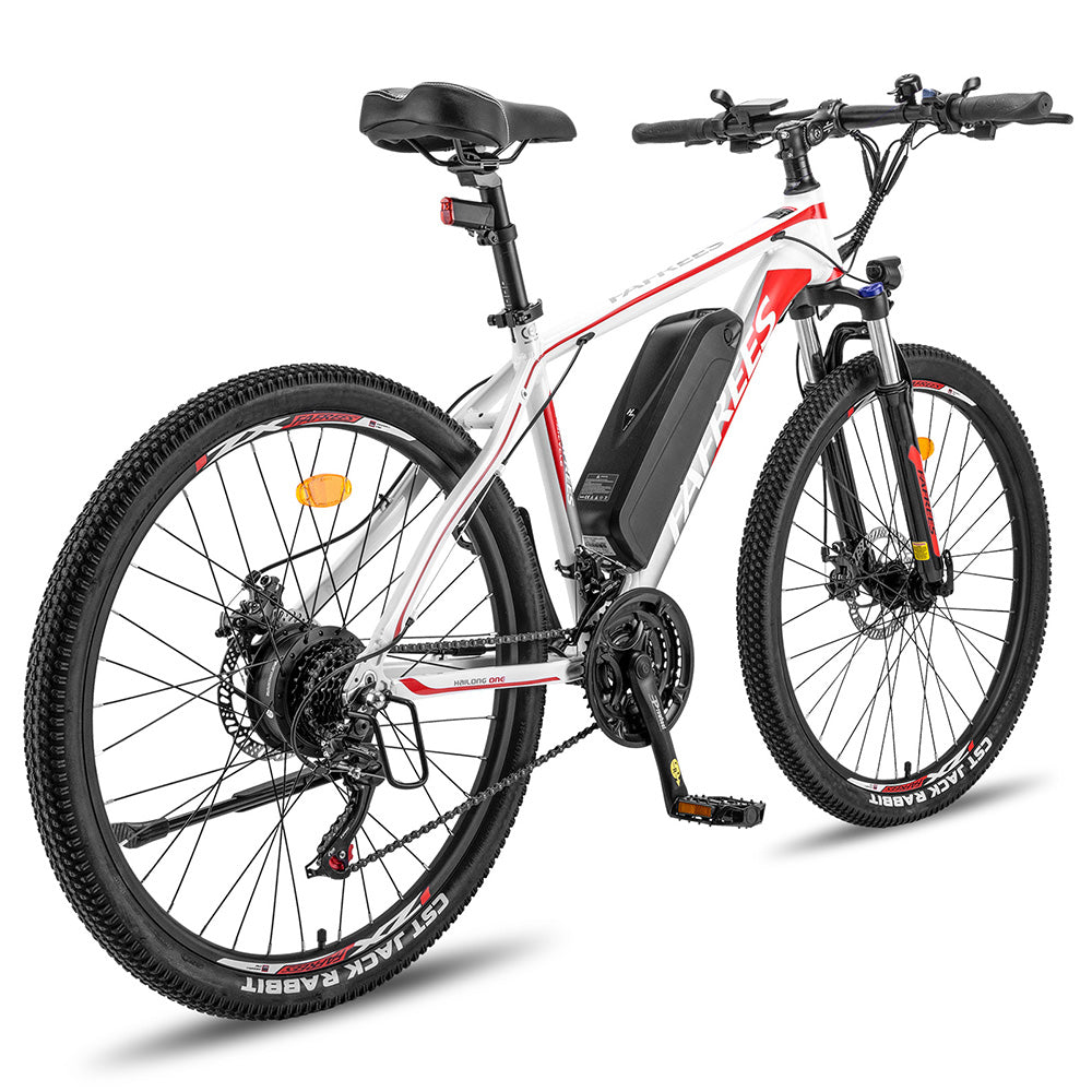 Fafrees Hailong One26-inch Mountain E-bike