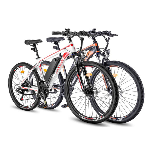 333-Fafrees Combo Sale Hailong One*2 E-bike