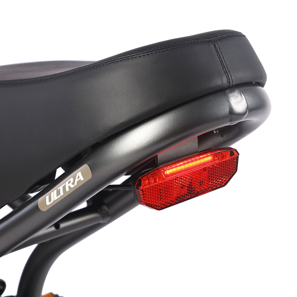 Fafrees F20 Ultra Robust Electric Ride E-bike