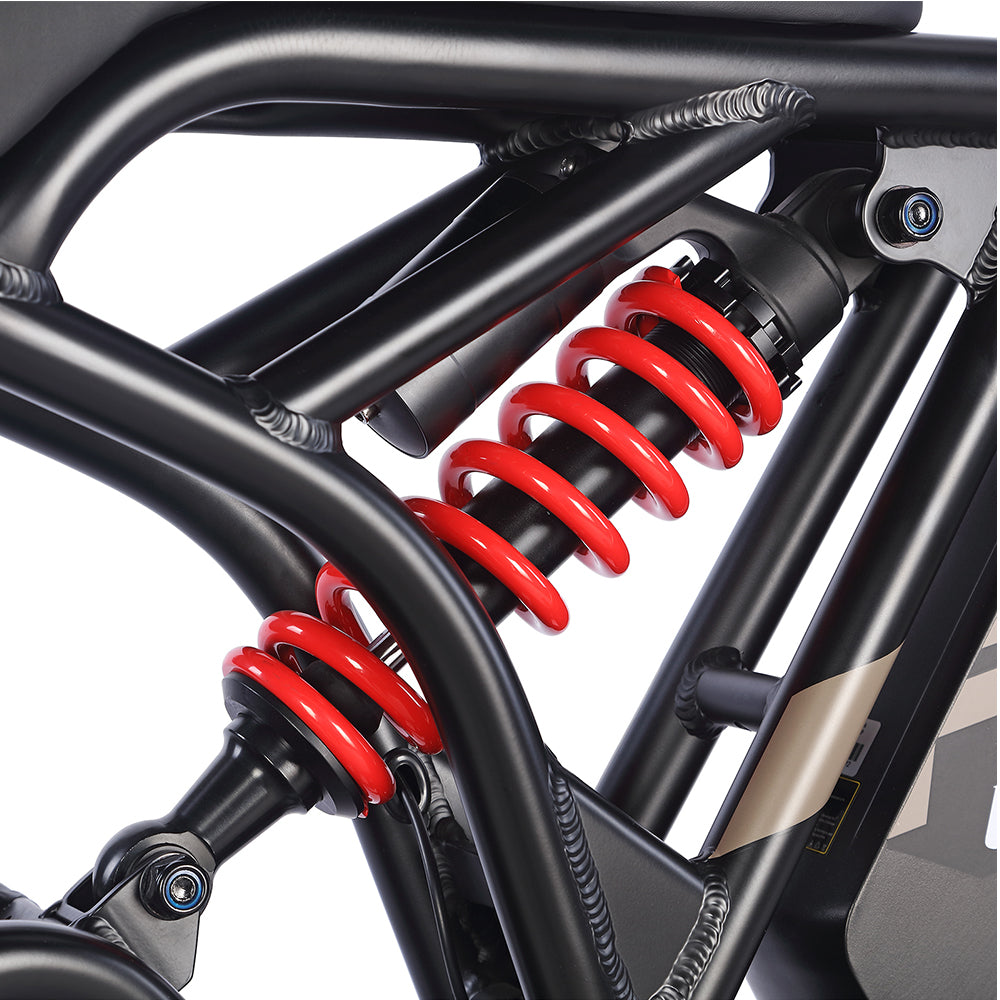 Fafrees F20 Ultra Robust Electric Ride E-bike