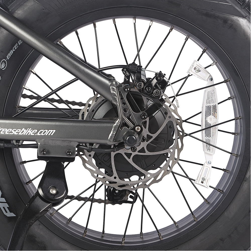 Fafrees F20 Ultra Robust Electric Ride E-bike