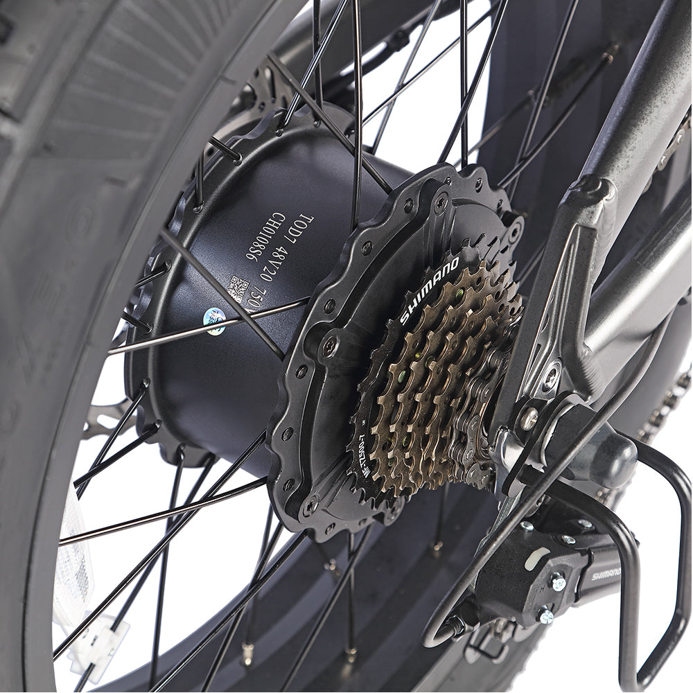 Fafrees F20 Ultra Robust Electric Ride E-bike