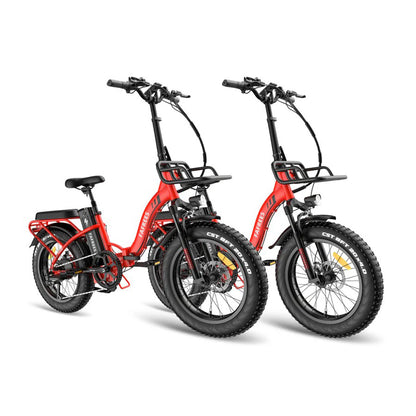 317-Fafrees Combo Sale F20 Max*2 E-bike