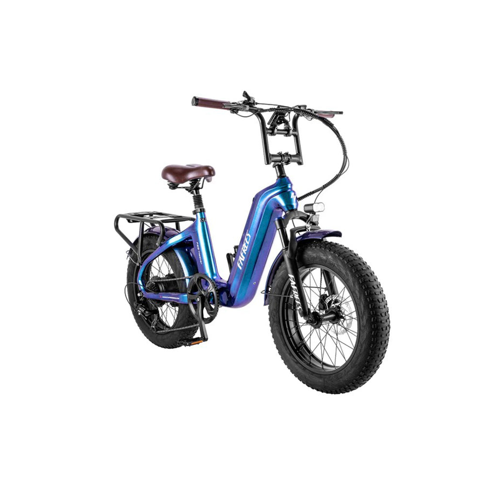312-Fafrees F20 Master E-Bike
