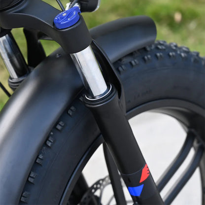 131-ENGWE Engine X Combo E-bike