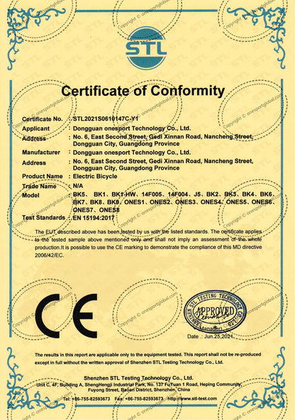 214-OneSport BK8 E-Bike