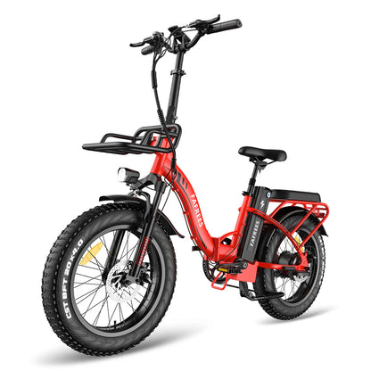 302-Fafrees F20 Max E-bike