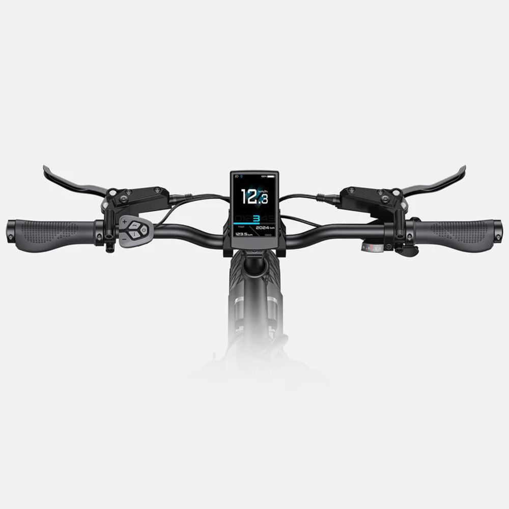 123-Engwe L20 3.0 Pro Ebike