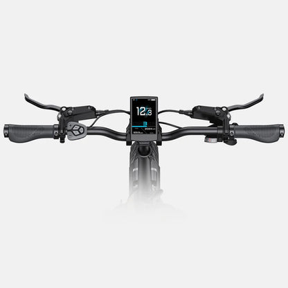 123-Engwe L20 3.0 Pro Ebike