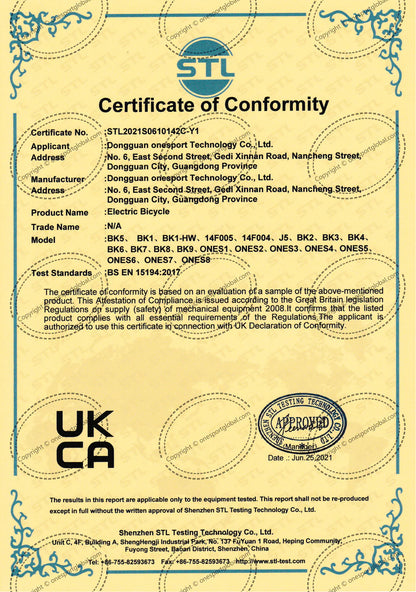 214-OneSport BK8 E-Bike