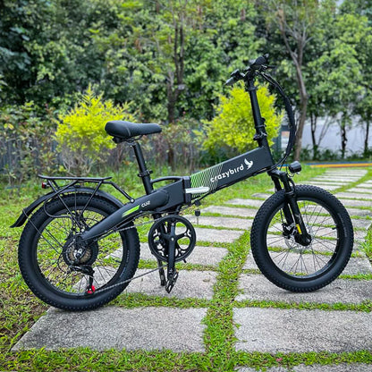Crazybird CU2 E-Bike