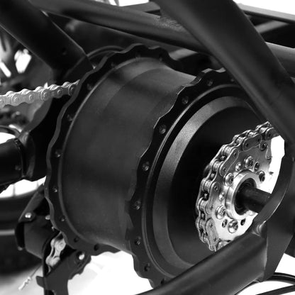 217-OneSport OT30 Electric Trike