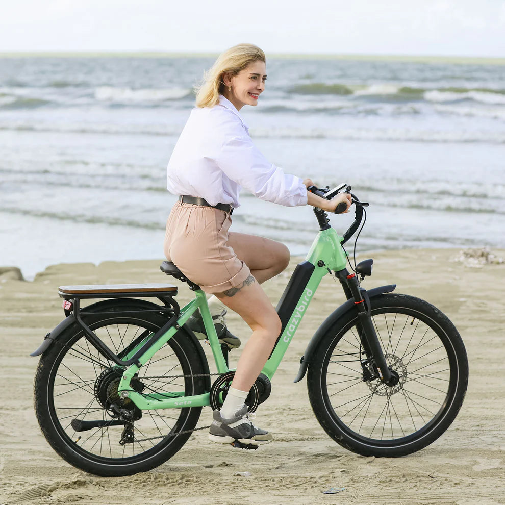 Crazybird Seta E-Bike