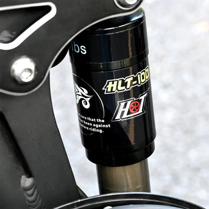 131-ENGWE Engine X Combo E-bike