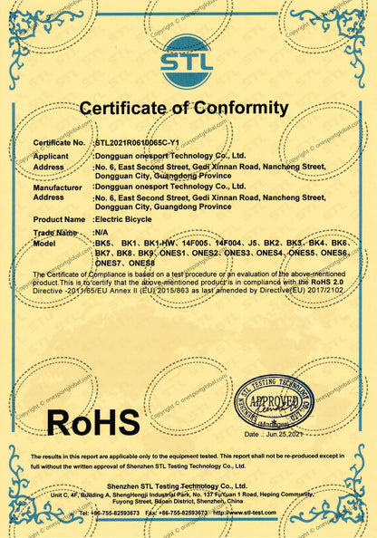 218-OneSport BK6 Folding E-bike