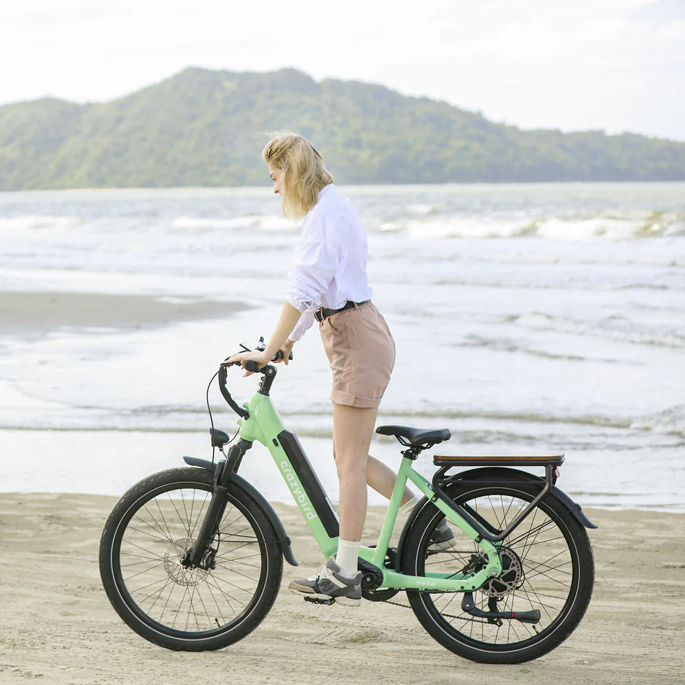Crazybird Seta E-Bike