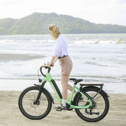 Crazybird Seta E-Bike