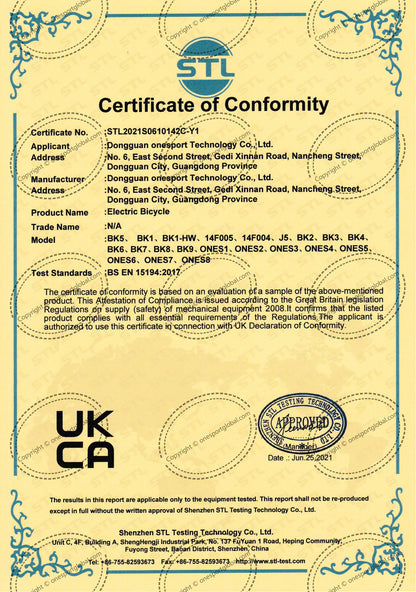 218-OneSport BK6 Folding E-bike