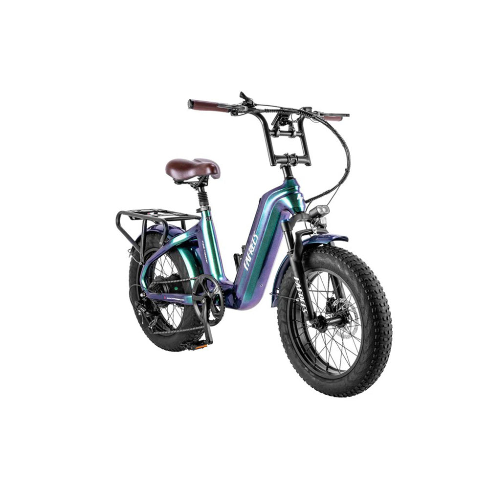 312-Fafrees F20 Master E-Bike