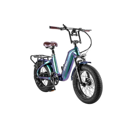 312-Fafrees F20 Master E-Bike