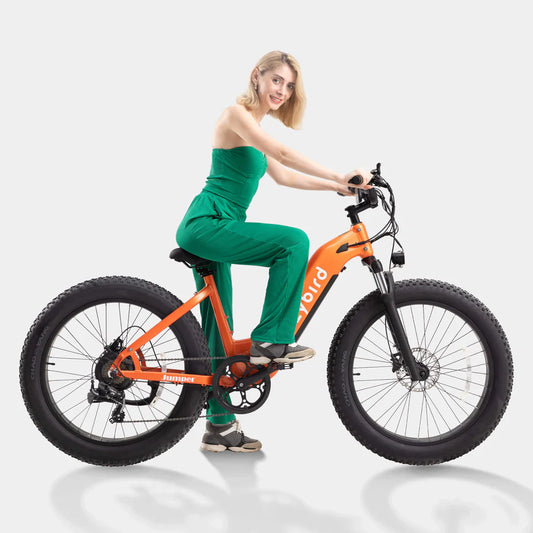 Crazybird Jumper/CB60 E-Bike