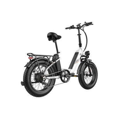 308-Fafrees FF20 Polar E-Bike