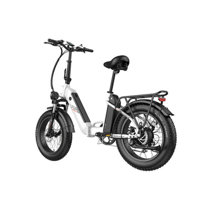 308-Fafrees FF20 Polar E-Bike