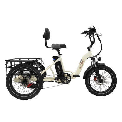 217-OneSport OT30 Electric Trike