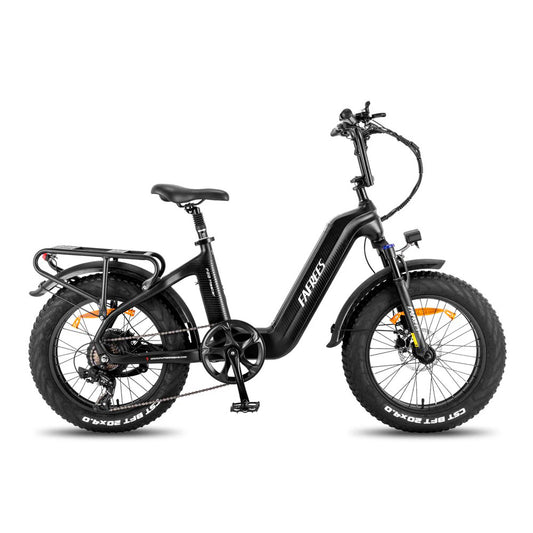 312-Fafrees F20 Master E-Bike