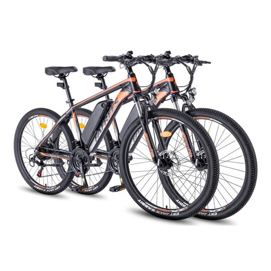 333-Fafrees Combo Sale Hailong One*2 E-bike