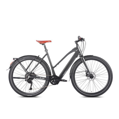 329-Fafrees F700W E-bike