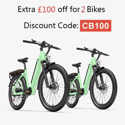 Crazybird Seta E-Bike