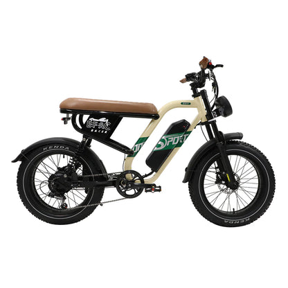 210-Onesport W66 Moped E-Bike