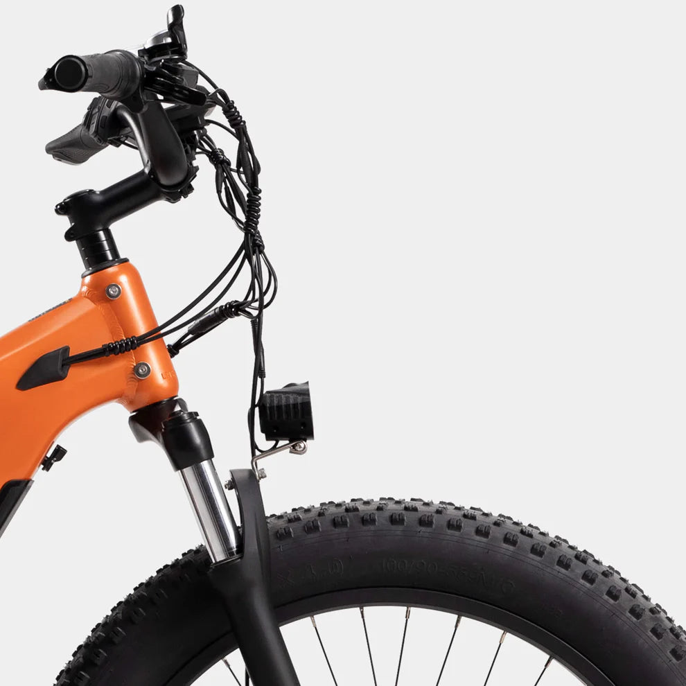 Crazybird Jumper/CB60 E-Bike