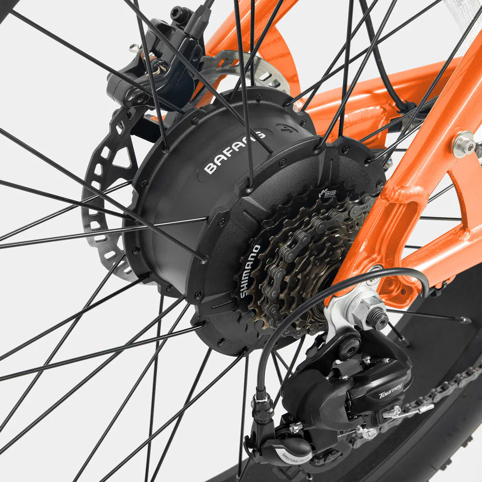 Crazybird Jumper/CB60 E-Bike