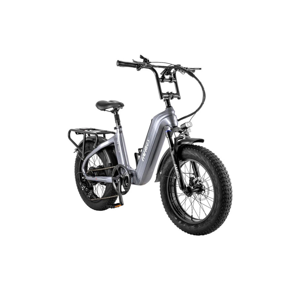 312-Fafrees F20 Master E-Bike