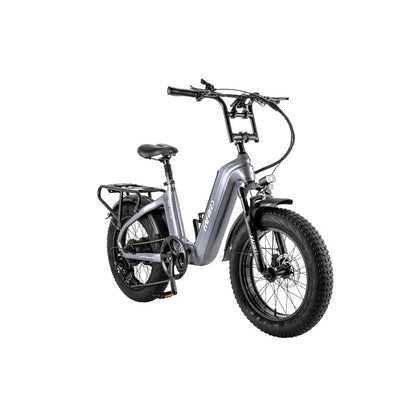 312-Fafrees F20 Master E-Bike