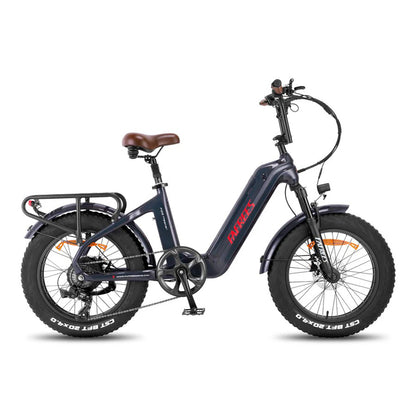 312-Fafrees F20 Master E-Bike