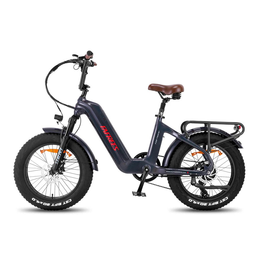 312-Fafrees F20 Master E-Bike
