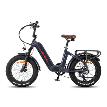 312-Fafrees F20 Master E-Bike