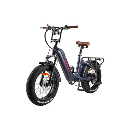 312-Fafrees F20 Master E-Bike