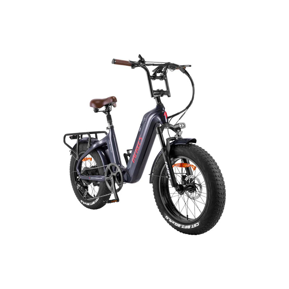 312-Fafrees F20 Master E-Bike