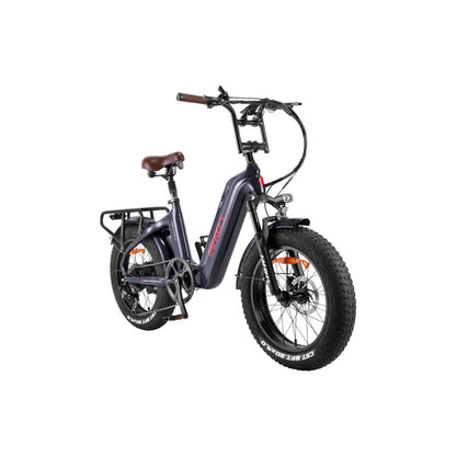 312-Fafrees F20 Master E-Bike