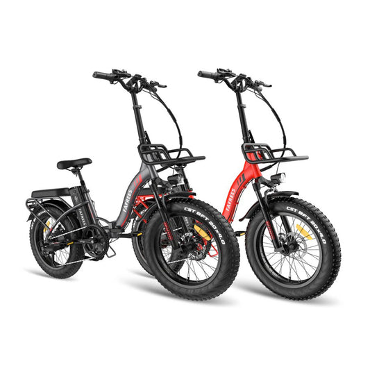 317-Fafrees Combo Sale F20 Max*2 E-bike