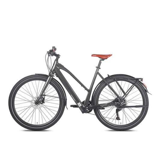 329-Fafrees F700W E-bike
