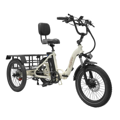217-OneSport OT30 Electric Trike