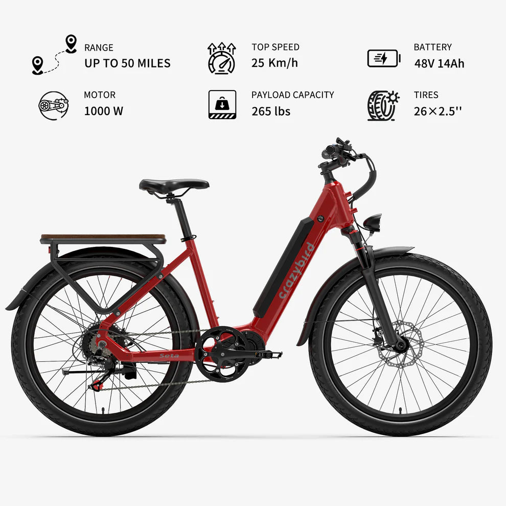 Crazybird Seta E-Bike