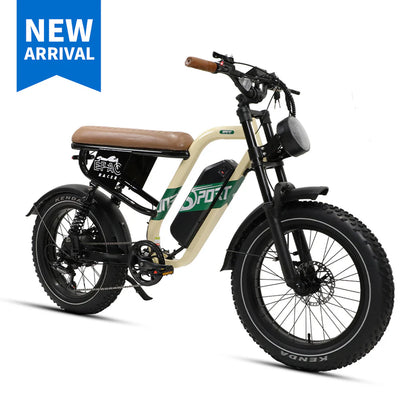 210-Onesport W66 Moped E-Bike