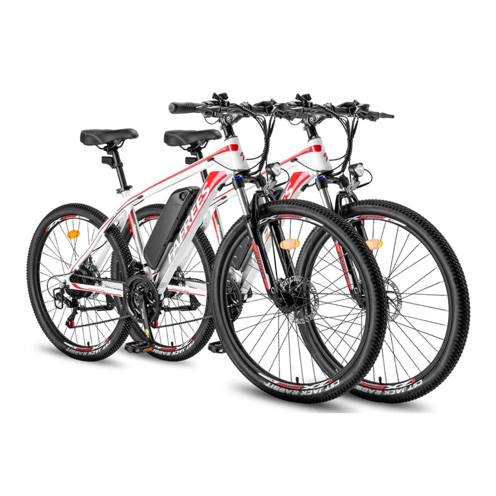 333-Fafrees Combo Sale Hailong One*2 E-bike