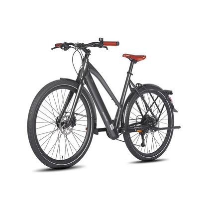 329-Fafrees F700W E-bike